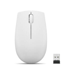 SOURIS OPTIQUE SANS FIL LENOVO COMPACT 300 ARCTIC GRE - BLEU